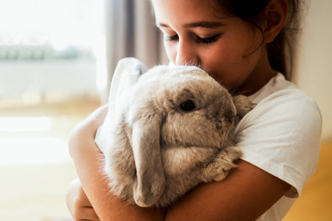Young girl holding bunny