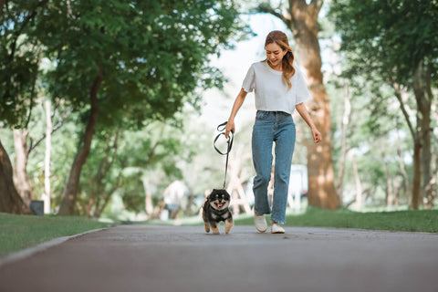 Woman walking dog on leash