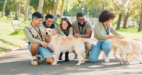 Young people visiting with two large dogs