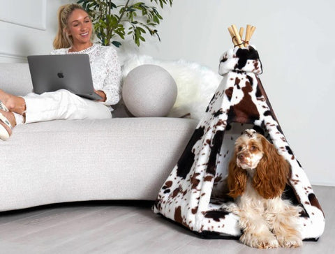Dog in teepee style dog bed