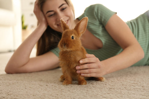 Young woman with small brown rabbit on carpeted floor